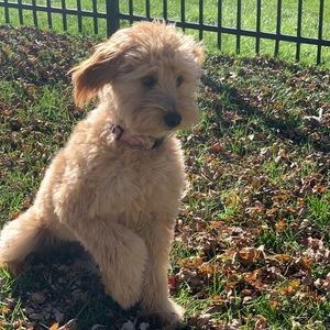 Meet your Posher, Eric